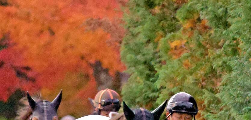 【チャンピオンズＣ】まだ底を見せない新星候補のダブルハートボンド　勝てば２０１５年サンビスタ以来の牝馬Ｖ