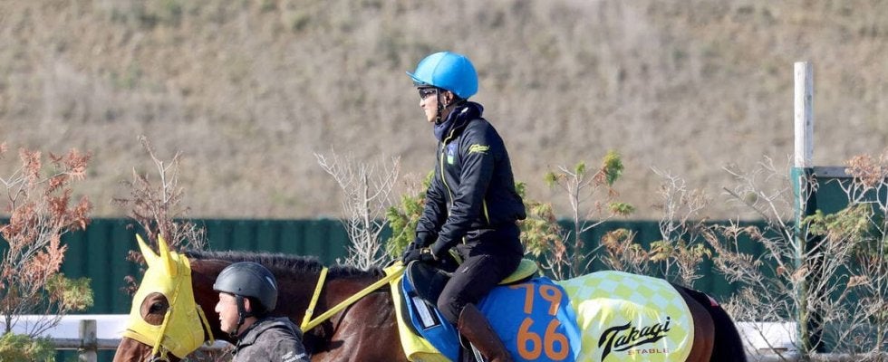 【ステイヤーズＳ】ワープスピード復活へ陣営手応え「しっかり攻めてこれ以上ない状態」