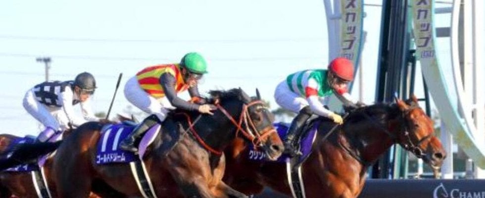 前代未聞！“ダートの怪物”３歳馬が無傷６連勝で頂点…過去５戦で合計２６馬身つける圧勝　チャンピオンズＣ名勝負