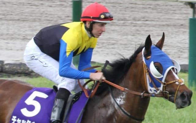 【ステイヤーズS】古豪チャックネイトが約半年ぶりの復帰戦 GII・2勝目なるか