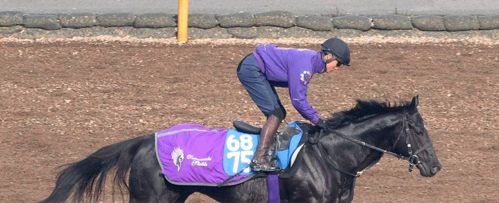【鳴尾記念】兄姉にＧ１ホース３頭の良血馬グランヴィノスが初タイトルへ　友道調教師「ワンターンの方がいい」