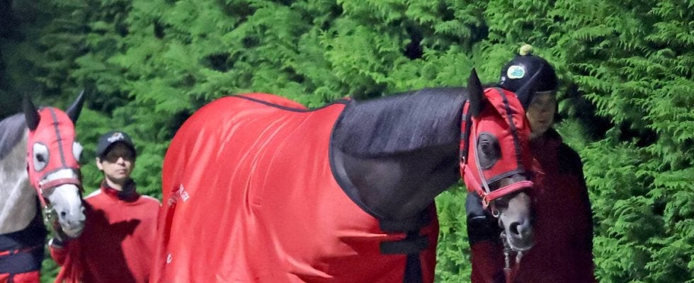 【注目馬動向】福島記念２着のエコロヴァルツは中山記念での復帰を視野　ハッピーマンはギャラクシーＳで連勝狙う