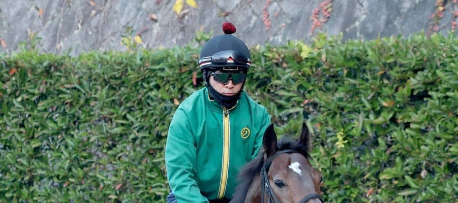 【チャンピオンズＣ】リピーター強いが…初出走となる“東海Ｓ”勝ち馬に期待