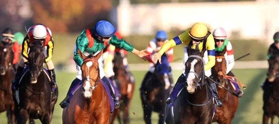 「胸が熱くなりました」「また日本に来て」無事に帰国したジャパンＣ覇者カランダガンの動画が反響