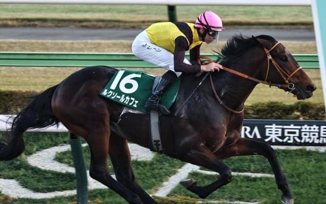 【チャンピオンズC】武蔵野S覇者のルクソールカフェ 史上初のJRAダートGIきょうだい制覇なるか