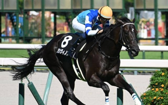 【鳴尾記念予想】厳寒期の休み明けは大きな割引が必要!? 前走のレースレベルにも疑問が残る人気馬とは