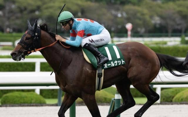 【鳴尾記念】半姉はGI・2勝のショウナンパンドラ オールナットが重賞連勝狙う