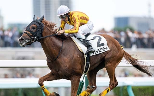 【中日新聞杯想定馬・騎手】シェイクユアハート、ファミリータイムなど16頭