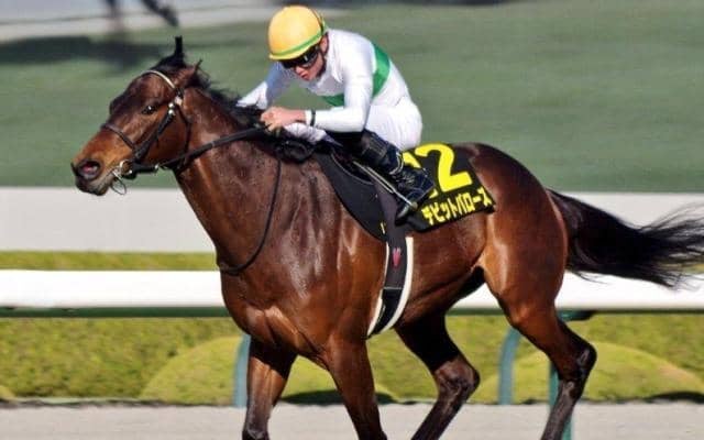 開幕阪神は絶好コンディション 鳴尾記念は舞台巧者のデビットバローズで勝負