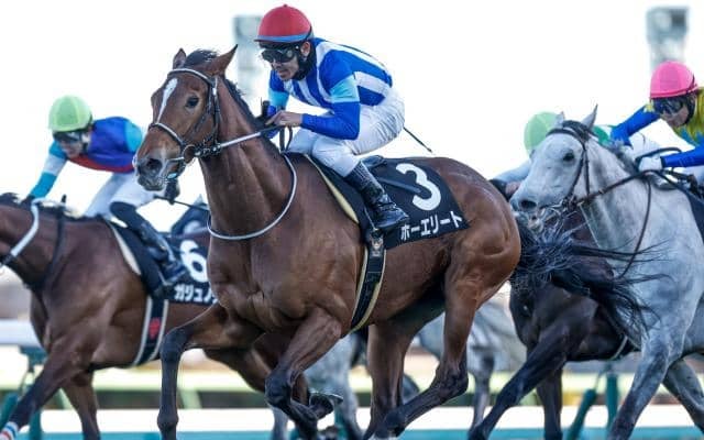 【ステイヤーズS予想】長距離戦は牡馬、セン馬の独壇場！ 苦戦傾向の牝馬に求められる好走条件とは