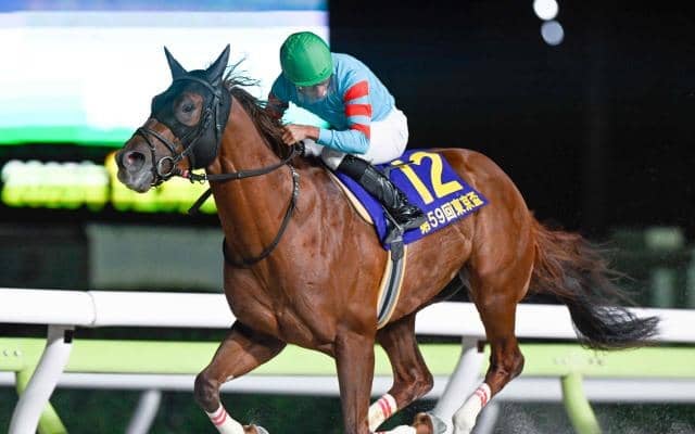 【カペラS想定馬・騎手】ヤマニンチェルキ、ガビーズシスターなど19頭