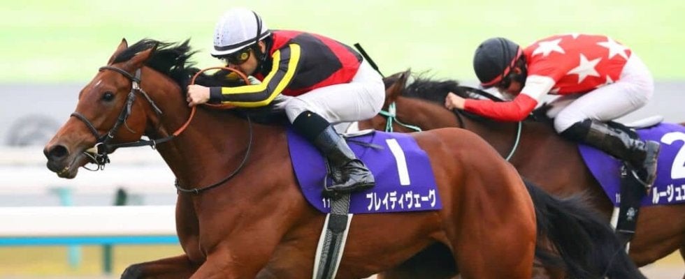 ブレイディヴェーグの登録抹消…ノーザンファーム繁殖入り