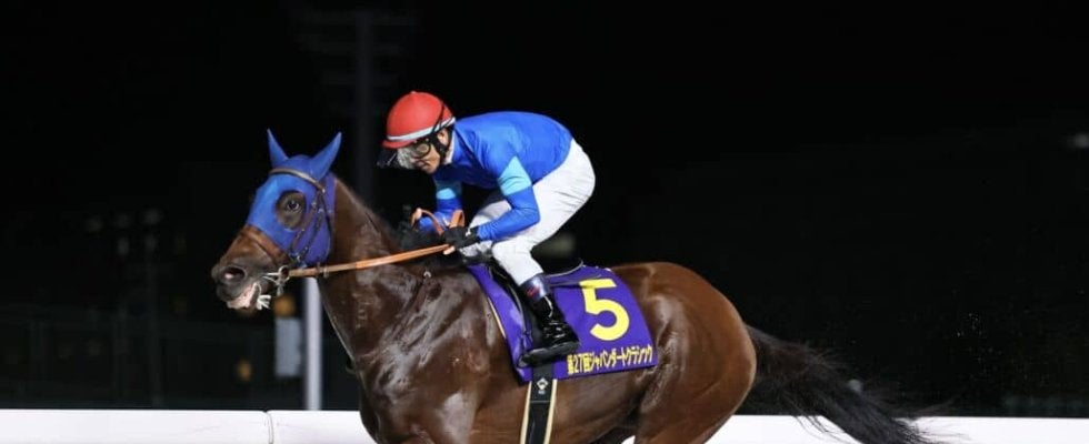 【チャンピオンズカップ】4連勝中ナルカミは6枠12番へ