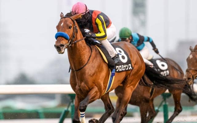 【今日の注目ポイント】中山でステイヤーズSと阪神で鳴尾記念