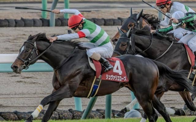 ステイヤーズSは枠順に偏りなし 血統傾向に要注目