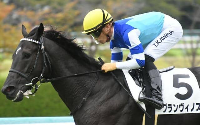 【鳴尾記念予想】鳴尾競馬場に由来の歴史ある一戦 今年から12月開催＆芝1800m戦に変更