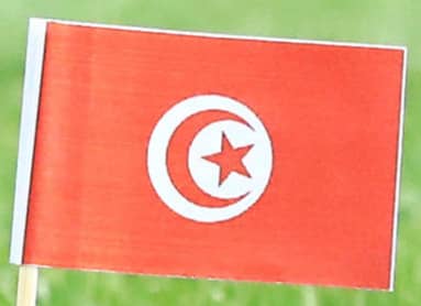 【Ｗ杯抽選】チュニジアメディアが同じF組の日本警戒「２位争いにおける最大の障害」