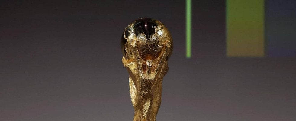 【W杯抽選】Ｆ組見どころ　成熟度一番の日本、ブラジルと分けたチュニジア　デパイ怖いオランダ