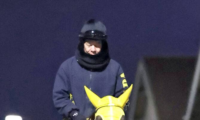 【チャンピオンズＣ】メイショウハリオはもう言うことなしの状態　陣営「悔いのない仕上げでいけそうです」