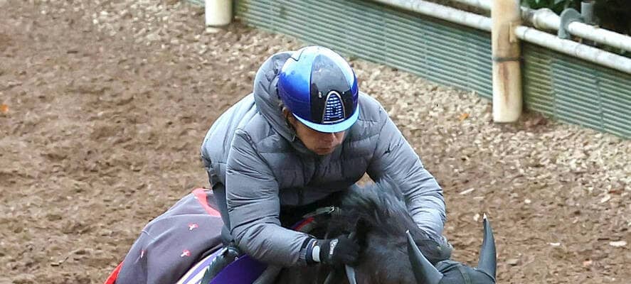 【チャンピオンズＣ】自分の仕事が分かっているハギノアレグリアス　陣営「中京は一番合っていると思います」