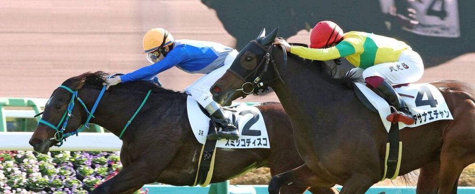 【中山３Ｒ・２歳未勝利】横山兄弟が鼻差の大接戦で和生騎手に軍配　スミッコディスコが５戦目で初白星