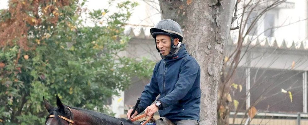 【チャンピオンズＣ】ルクソールカフェがナルカミに再挑戦　陣営「何とか逆転してもらえるように」