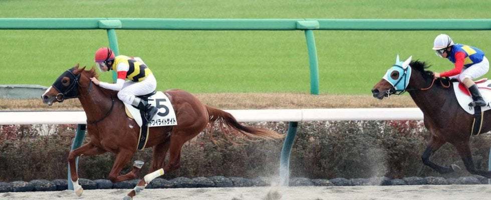 【中山６Ｒ・２歳新馬】横山和生騎手が２Ｒから騎乗機会４連勝！　トワイライトサイトで１番人気に応える