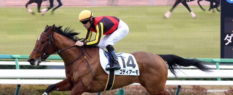 【中山５Ｒ・２歳新馬】「楽勝でした」ルメール騎手が高評価　ゴディアーモが２・０倍の１番人気に応える