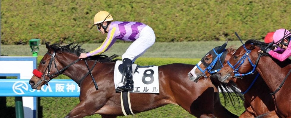 噛みつき行為の“被害”に遭ったヤウポンの産駒がデビュー４頭で２頭目の勝ち上がり　日本で産駒が因縁の対決も