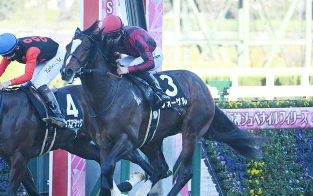 【さざんか賞結果】フォーゲルが人気に応えて2連勝