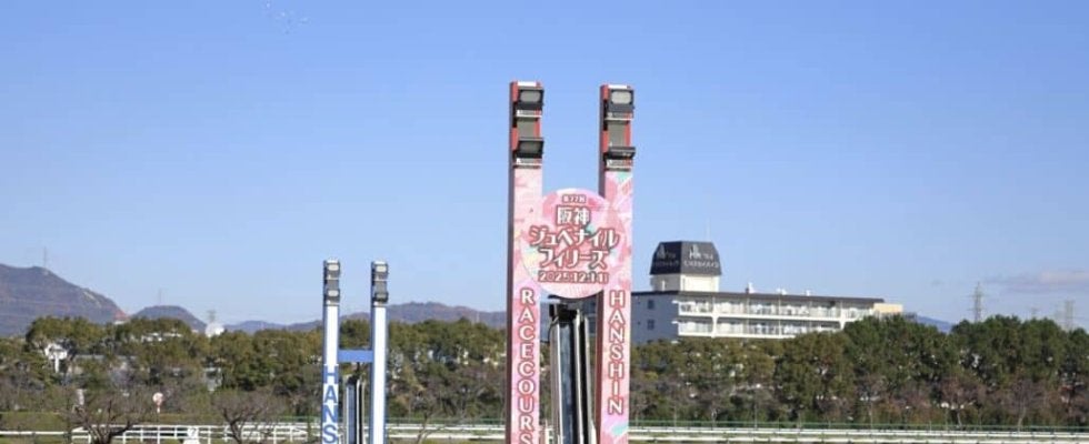 【鳴尾記念】6歳セン馬・デビットバローズが重賞初制覇