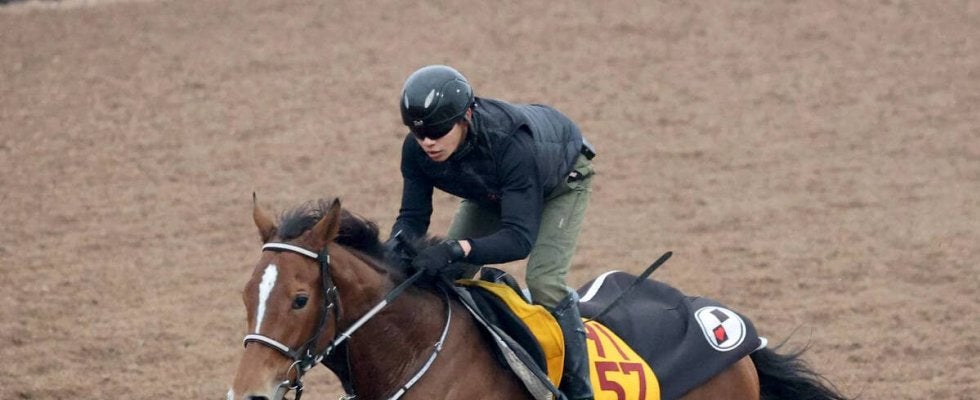 【ステイヤーズＳ】先週ジャパンＣで負傷の戸崎圭太騎手が決めた　ホーエリートが重賞初制覇　３９年ぶり牝馬Ｖ