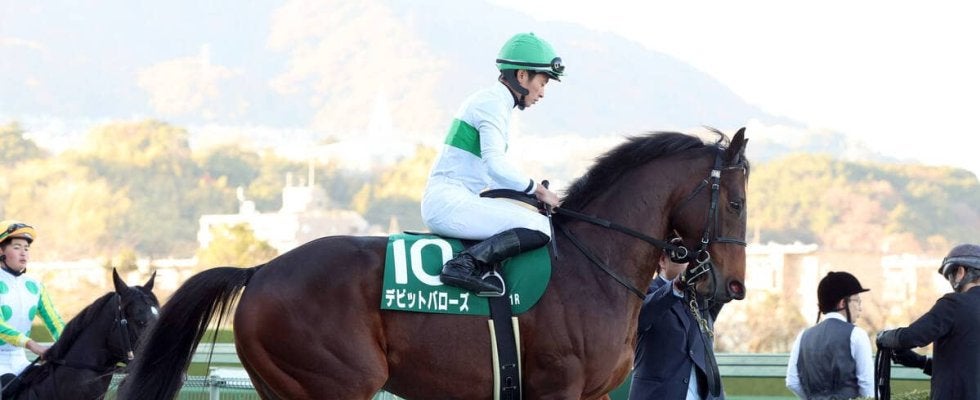【鳴尾記念】５度目の挑戦で重賞初制覇　セン馬デビットバローズが勝利　岩田望来騎手は連覇