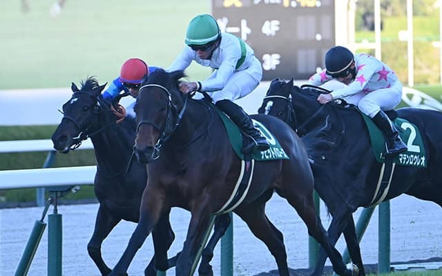 【鳴尾記念結果】デビットバローズが抜け出し重賞初V 岩田望来騎手は連覇達成