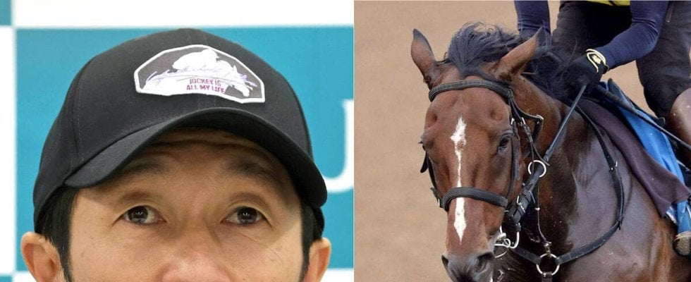 「乗ると思わなかった」「一生推す」オニャンコポンとレジェンドの共演にネット歓喜　鳴尾記念は掲示板外す