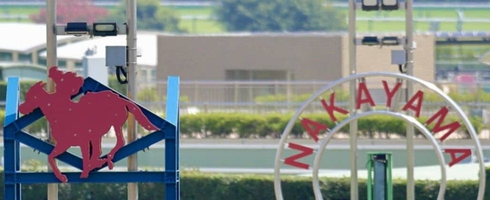 【ステイヤーズS】暮れの名物レースを制覇したのは牝馬のホーエリート