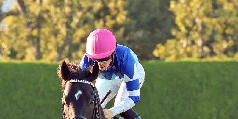 【鳴尾記念】３頭のＧ１馬の半弟・１番人気グランヴィノスは４着　川田将雅騎手「今日できる精いっぱいの走りです」