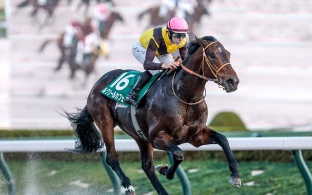 【チャンピオンズC予想】前走で積極的な競馬を経験しているのはマイナス!? 重賞馬でも軽視したい一頭とは