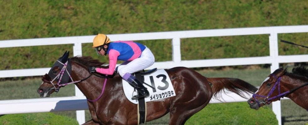 【阪神8R】武豊メイショウツヨキが波乱を演出…10番人気の伏兵