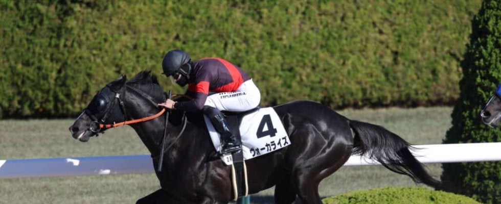 【阪神2R】ヴォーカライズが人気に応えて逃げ切る