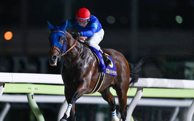 【チャンピオンズC前日オッズ】ナルカミが2.4倍で1番人気