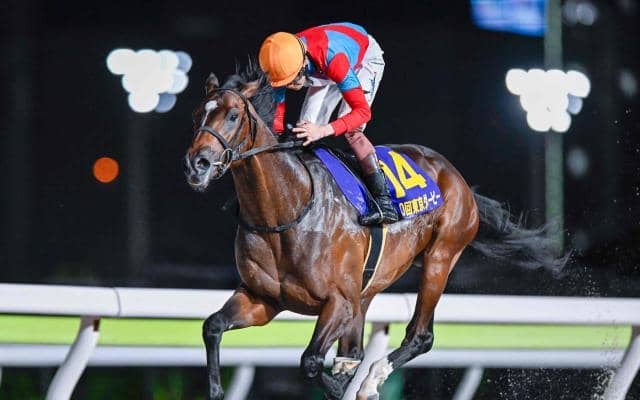 【AI予想・チャンピオンズC】積極的に高配当を狙うべき一戦!? 人工知能も妙味十分の実力馬に◎