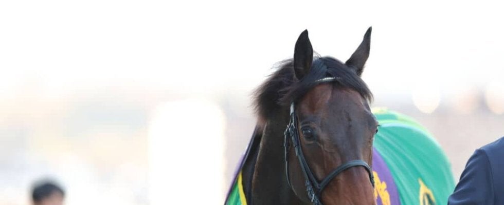 WIN5は1893票的中…鳴尾記念はデビットバローズがV