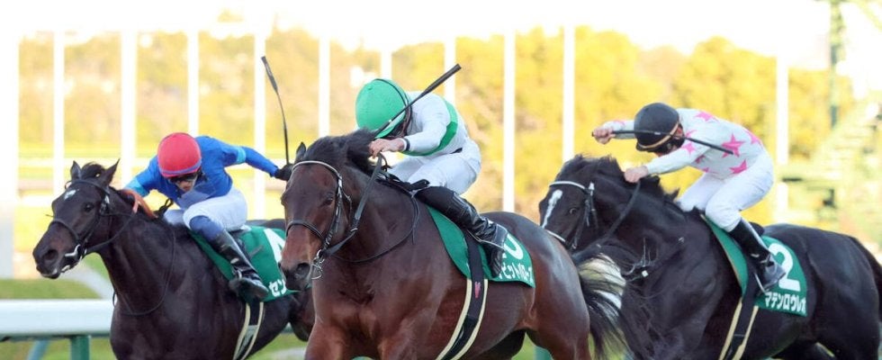 【鳴尾記念・レースメモ】関西馬２０１０年ルーラーシップ以降１６年連続６４勝目