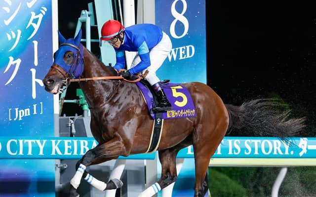 【今日の注目ポイント】チャンピオンズCでナルカミがダート界の頂点を狙う