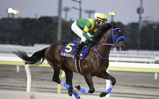 【チャンピオンズC予想】下半期のJRAダート王者決定戦 外枠の逃げ・先行馬にはタフなコース形態