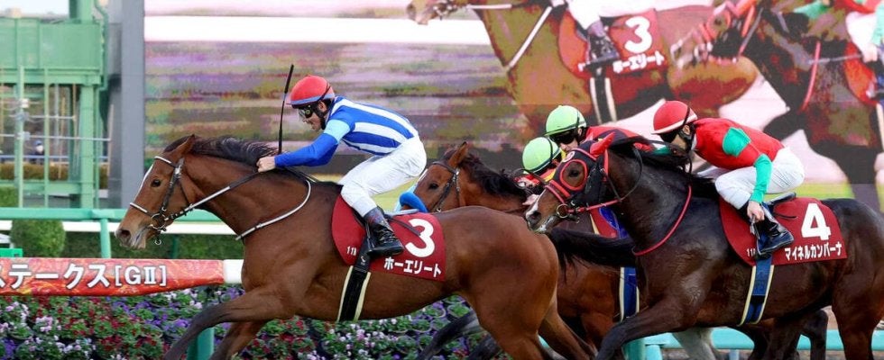 【ステイヤーズＳ】「余裕と手応えがあった」戸崎騎手がホーエリート重賞初Ｖ導く　牝馬として３９年ぶり　