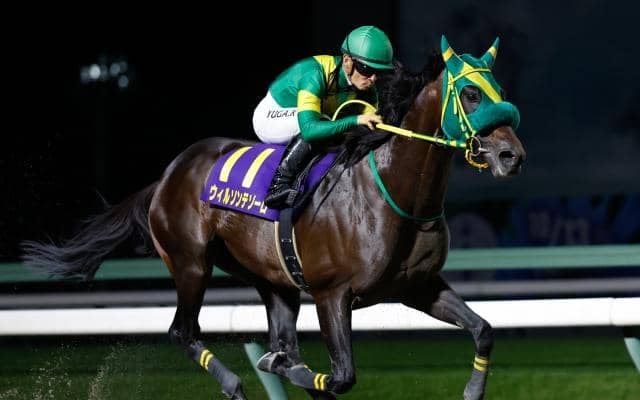 【チャンピオンズC予想】パターンから狙えるタイプとは？ 過去データから探るGIチャンピオンズC