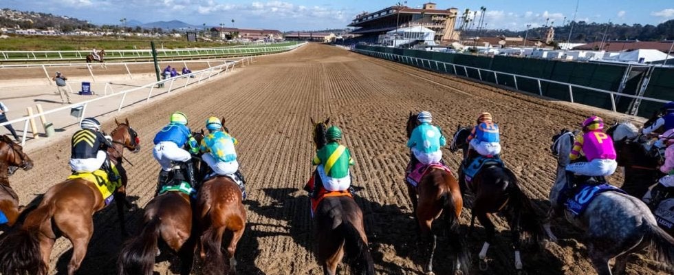 【チャンピオンズC／馬場情報】土曜は8枠好走も“イン突き”がコース攻略　枠と血統で浮上した想定“10人気”の爆穴