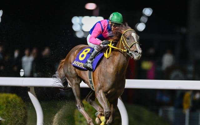 中京ダートは展開一つで差しも届く！ メイショウハリオの直線一気があるか